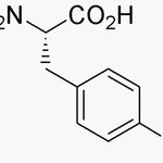 4-Chloro-L-phenylalanine|02861|14173-39-8