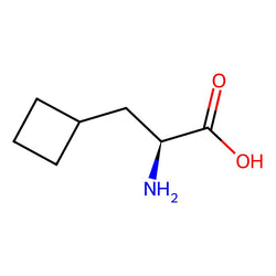 (S)-2-Amino-3-cyclobutylpropanoic acid|CS-D0035|1201593-65-8