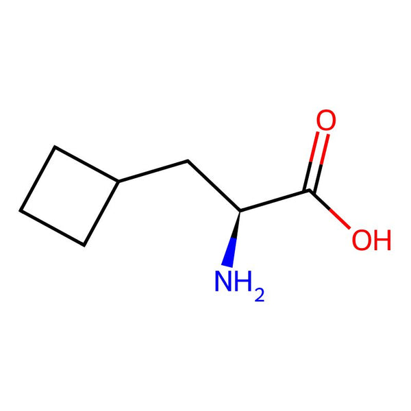 (S)-2-Amino-3-cyclobutylpropanoic acid|CS-D0035|1201593-65-8