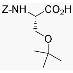 Z-O-tert-butyl-L-serine|02248|1676-75-1