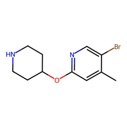 5-Bromo-4-methyl-2-(piperidin-4-yloxy)pyridine, 95%|07-0267|1289198-53-3