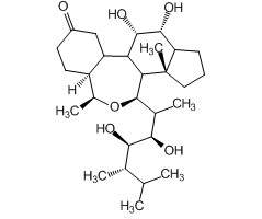 Brassinolide, 95%|440140|72962-43-7