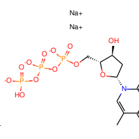 2'-Deoxythymidine 5'-triphosphate [dTTP] trisodium salt, 96%|443178|18423-43-3