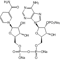 β-Nicotinamide adenine dinucleotide 2'-phosphate reduced tetrasodium salt, 95%, reduced|445507|2646-71-1
