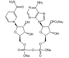 β-Nicotinamide adenine dinucleotide 2'-phosphate reduced tetrasodium salt, 95%, reduced|445507|2646-71-1
