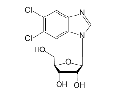5,6-Dichlorobenzimidazole-1-β-D-ribofuranoside, 98%|447777|53-85-0