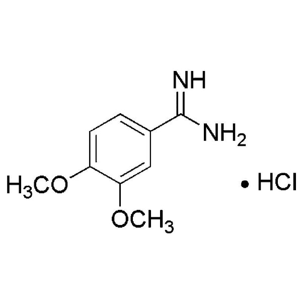3,4-Dimethoxy-benzamidine·HCl|20084|51488-33-6
