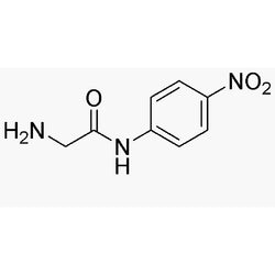 Glycine 4-nitroanilide|06070|1205-88-5