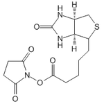 Biotin NHS|CS-5714|35013-72-0