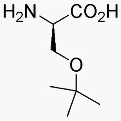 O-tert-Butyl-D-serine|03138|18783-53-4