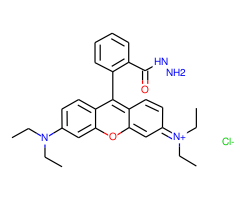 Rhodamine B hydrazide, 98%|459186|74317-53-6