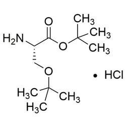 O-tert-Butyl-L-serine t-butyl ester hydrochloride|03139|51537-21-4