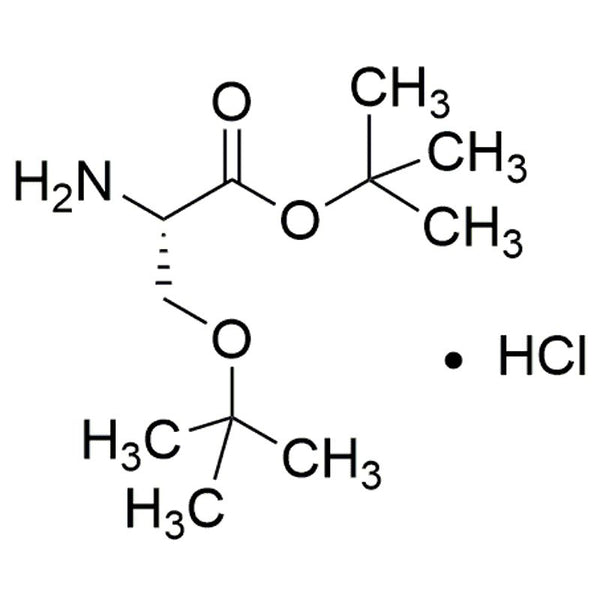 O-tert-Butyl-L-serine t-butyl ester hydrochloride|03139|51537-21-4