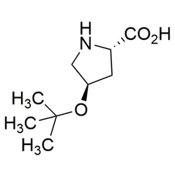 O-tert-Butyl-L-trans-4-hydroxyproline|04435|79775-07-8