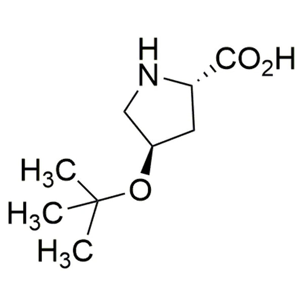 O-tert-Butyl-L-trans-4-hydroxyproline|04435|79775-07-8