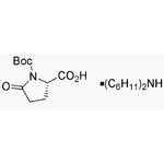 Boc-L-pyroglutamic acid dicyclohexylammonium salt|05597|4677-75-2