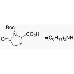 Boc-L-pyroglutamic acid dicyclohexylammonium salt|05597|4677-75-2