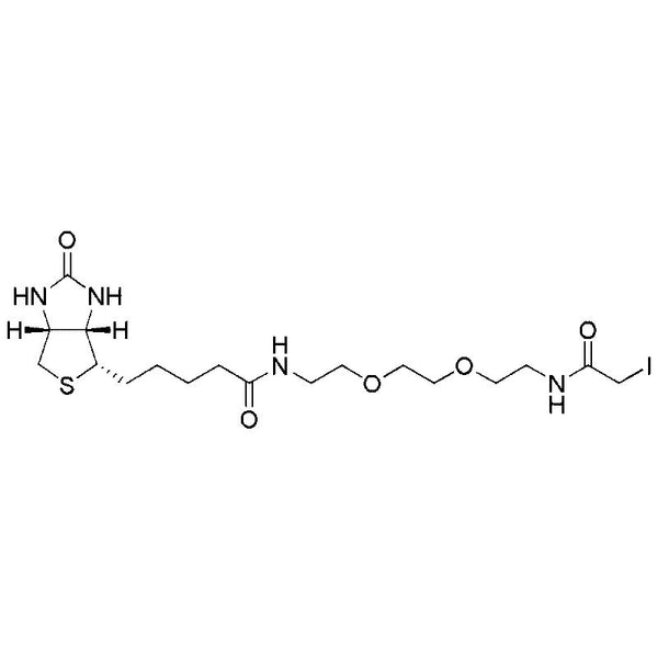 (+)-Biotin-(PEO)3-iodoacetamide|23069