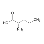 L-Norvaline|CS-D1371|6600-40-4