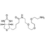 (+)-Biotin-(PEO)4-amine|23062|359860-27-8