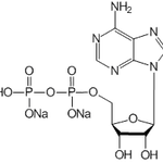 Adenosine 5'-diphosphate (disodium)|CS-0010115|16178-48-6