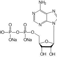 Adenosine 5'-diphosphate (disodium)|CS-0010115|16178-48-6