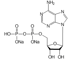 Adenosine 5'-diphosphate (disodium)|CS-0010115|16178-48-6