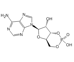 Adenosine 3',5'-cyclophosphate, 99%|464651|60-92-4