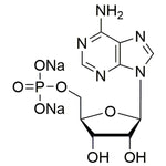 Fmoc-L-a-HomoTyr(OtBu)-OH|37435|204384-69-0