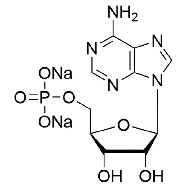 Fmoc-L-a-HomoTyr(OtBu)-OH|37435|204384-69-0