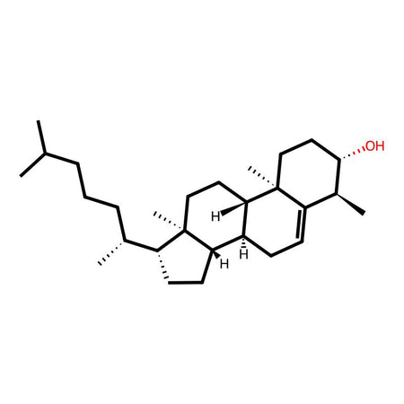 4α-Methyl-Cholest-5-en-3β-ol|C4X-19672|15073-00-4