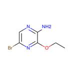 2-Amino-5-bromo-3-ethoxypyrazine|CS-W021563|77112-66-4