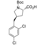 Boc-(R)-g-(2,4-dichlorobenzyl)-L-proline|15928|959582-83-3