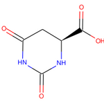 L-Dihydroorotic acid|CS-W016211|5988-19-2