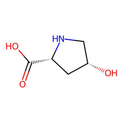 cis-4-Hydroxy-D-proline, 98%|982276|2584-71-6