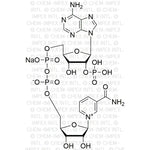 b-Nicotinamide adenine dinucleotide phosphate sodium salt|00231|1184-16-3