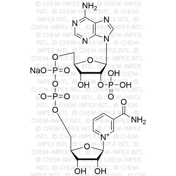 b-Nicotinamide adenine dinucleotide phosphate sodium salt|00231|1184-16-3