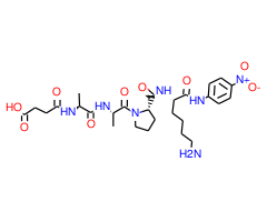 Suc-Ala-Ala-Pro-Lys-pNA|CPTD785842|108929-39-1