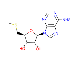 5'-Methylthioadenosine|CS-0012983|2457-80-9