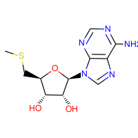 5′-Deoxy-5′-(methylthio)adenosine, 95%|900789|2457-80-9