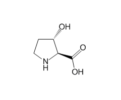 trans-3-Hydroxy-L-proline, 97%|484219|4298-08-2