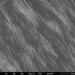 Iron(II,III) oxide (Magnetite) aqueous magnetic fluid [7.0 vol%, Ms = 30-31 kA/m]|26-0036|1317-61-9