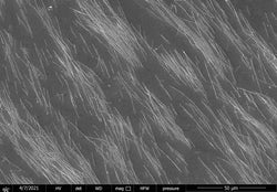 Iron(II,III) oxide (Magnetite) magnetic fluid in kerosene with oleic acid [15-18 vol%, Ms = 50-70 kA/m]|26-0024|1317-61-9