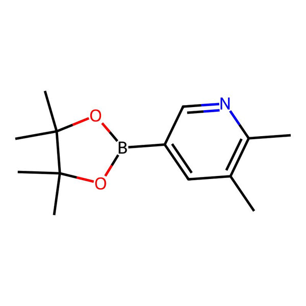 2,3-Dimethyl-5-(4,4,5,5-tetramethyl-1,3,2-dioxaborolan-2-yl)pyridine|CS-0173969|741709-65-9