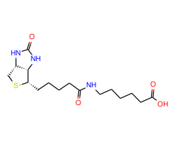 N-(+)-Biotinyl-6-aminohexanoic acid, 98%|488177|72040-64-3