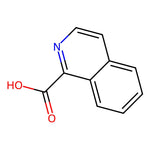 Isoquinioline-1-carboxylic acid|CS-W002015|486-73-7