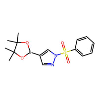 1-(Phenylsulfonyl)-4-(4,4,5,5-tetramethyl-1,3,2-dioxaborolan-2-yl)-1H-pyrazole|CS-W016738|1073372-04-9