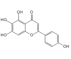 Scutellarein, 98%, from Scutellaria barbata|494586|529-53-3