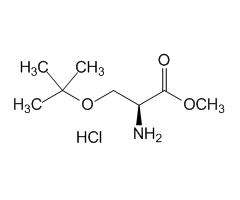 H-Ser(tBu)-OMe · HCl|CPTD787845|17114-97-5