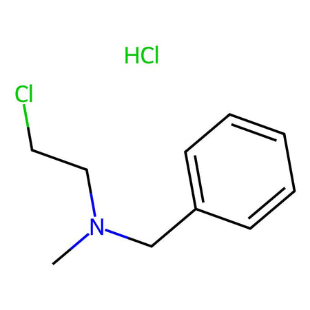 N-(2-chloroethyl)-N-methylbenzylamine Hydrochloride|C1855830|23510-18-1